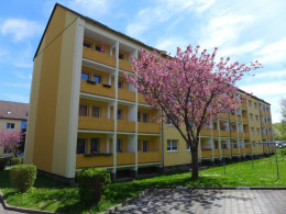 Großzügige Wohnung unterm Dach!