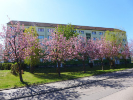 Dachgeschosswohnung zum Wohlfühlen